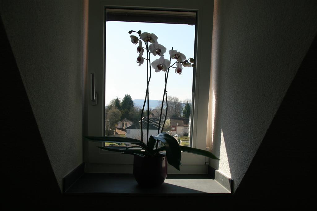 Hotel Eremitage Arlesheim Extérieur photo
