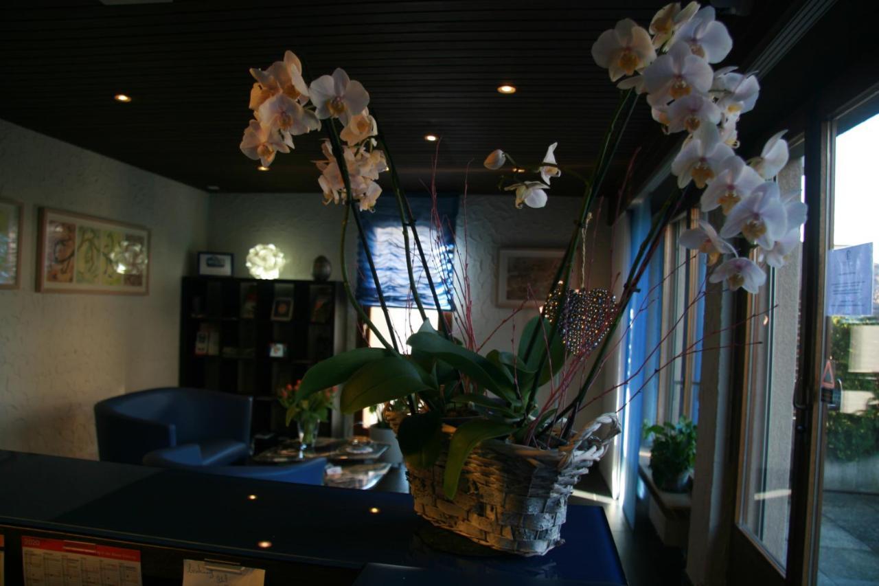 Hotel Eremitage Arlesheim Extérieur photo